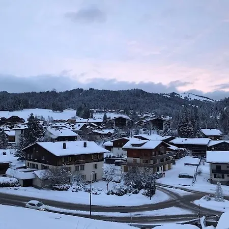Chalet 500 M Du Village Et Du Front De Neige *